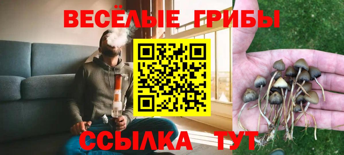 Гагарин  Псилоцибиновые грибы Magic Shrooms  Вход с VPN 