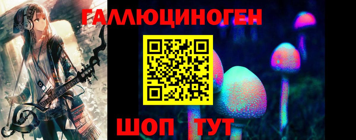 Псилоцибиновые грибы GOLDEN TEACHER Гагарин